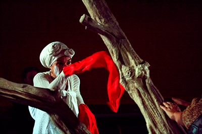 Fotografia: uno momento dello spettacolo "L'albero".